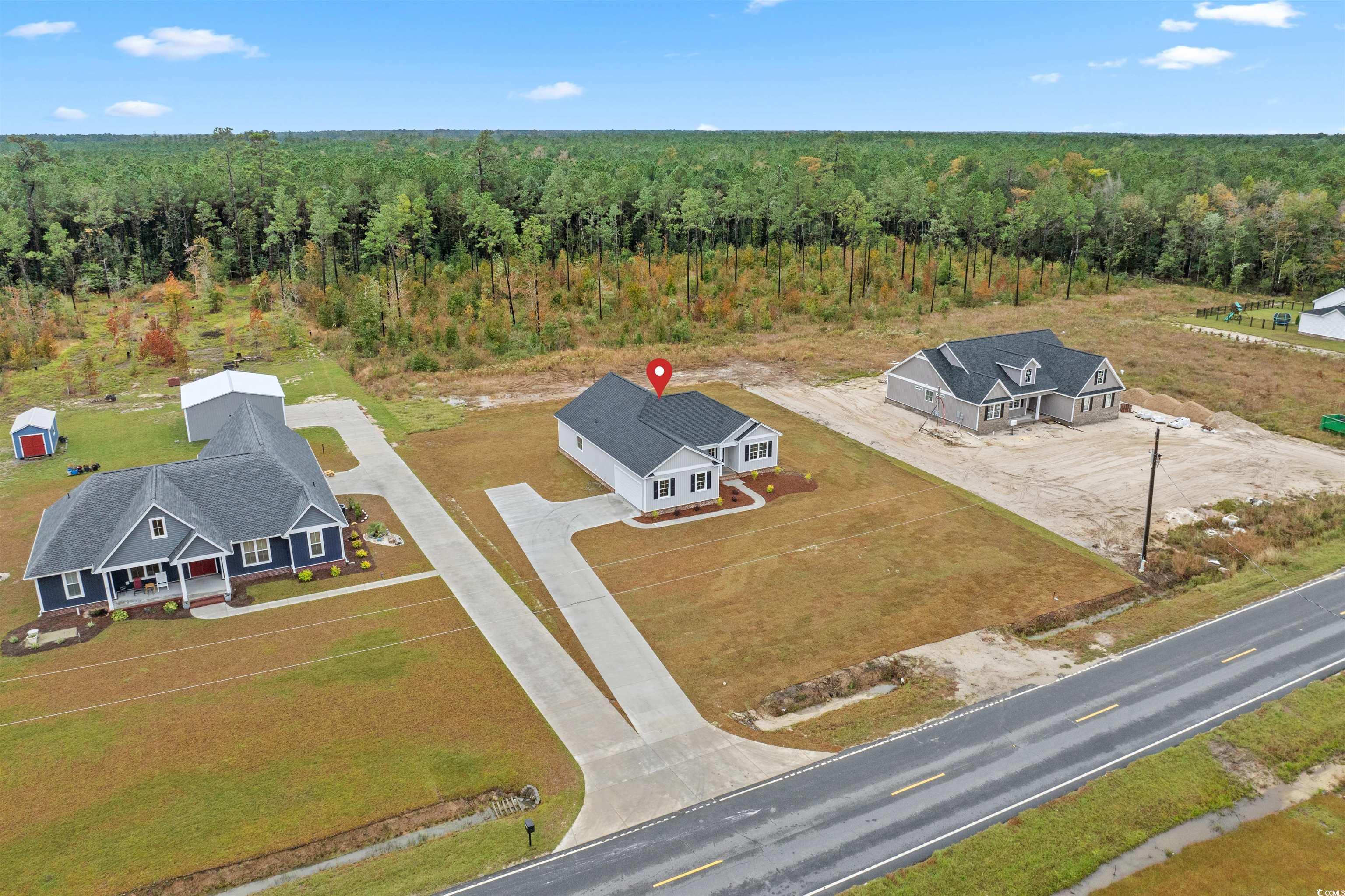 6927 Pauley Swamp Road Conway, SC 29527 - Photo 5 of 40 Bird's eye view of a forest