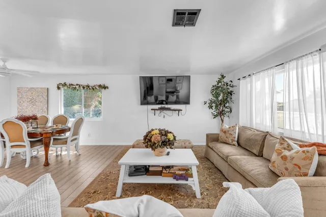 a living room with furniture and a potted plant