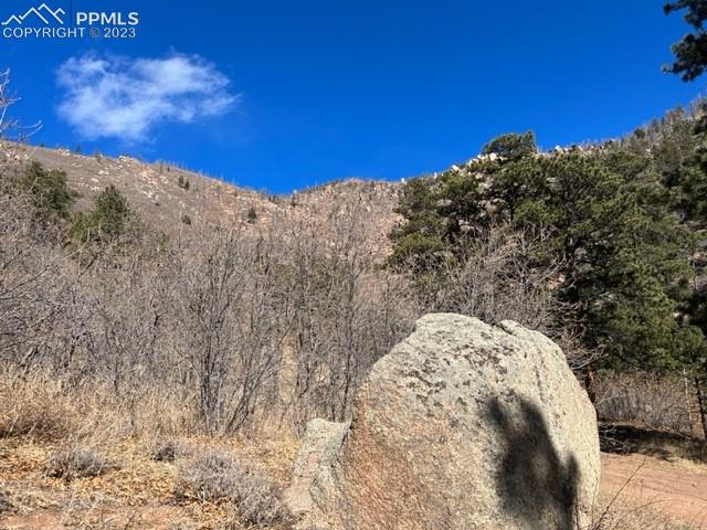 Rampart Terrace Road Cascade, CO 80809 - Photo 7 of 13