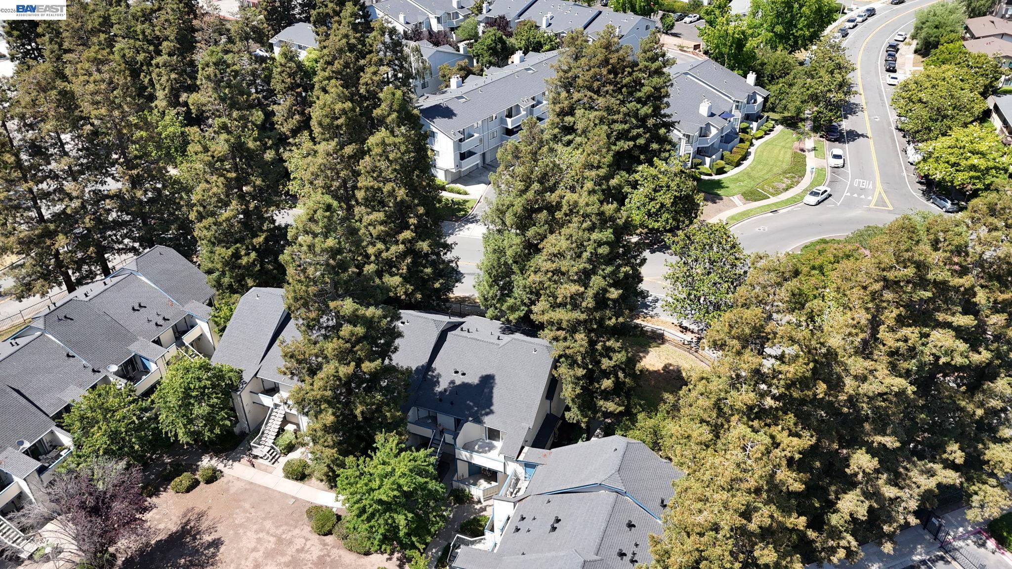 404 Sequim Common Fremont, CA 94539 - Photo 29 of 46