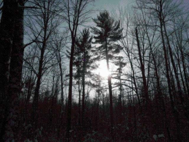 Hill-prentice Prentice Road Ogema, WI 54459 - Photo 20 of 20 Gallery Image 20