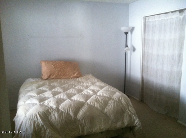 4331 East Carson Road Phoenix, AZ 85042 - Photo 3 of 4 photo