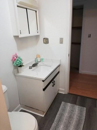 99 Victoria Heights Road, Unit 99 Boston, MA 02136 - Photo 21 of 28 Gallery Image 21