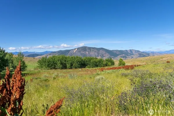 $350,000 | 121 Finley Canyon Road, Twisp, WA 98856