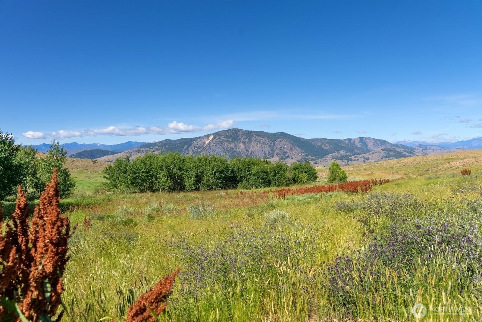 121 Finley Canyon Road Twisp, WA 98856 - Photo 1 of 27
