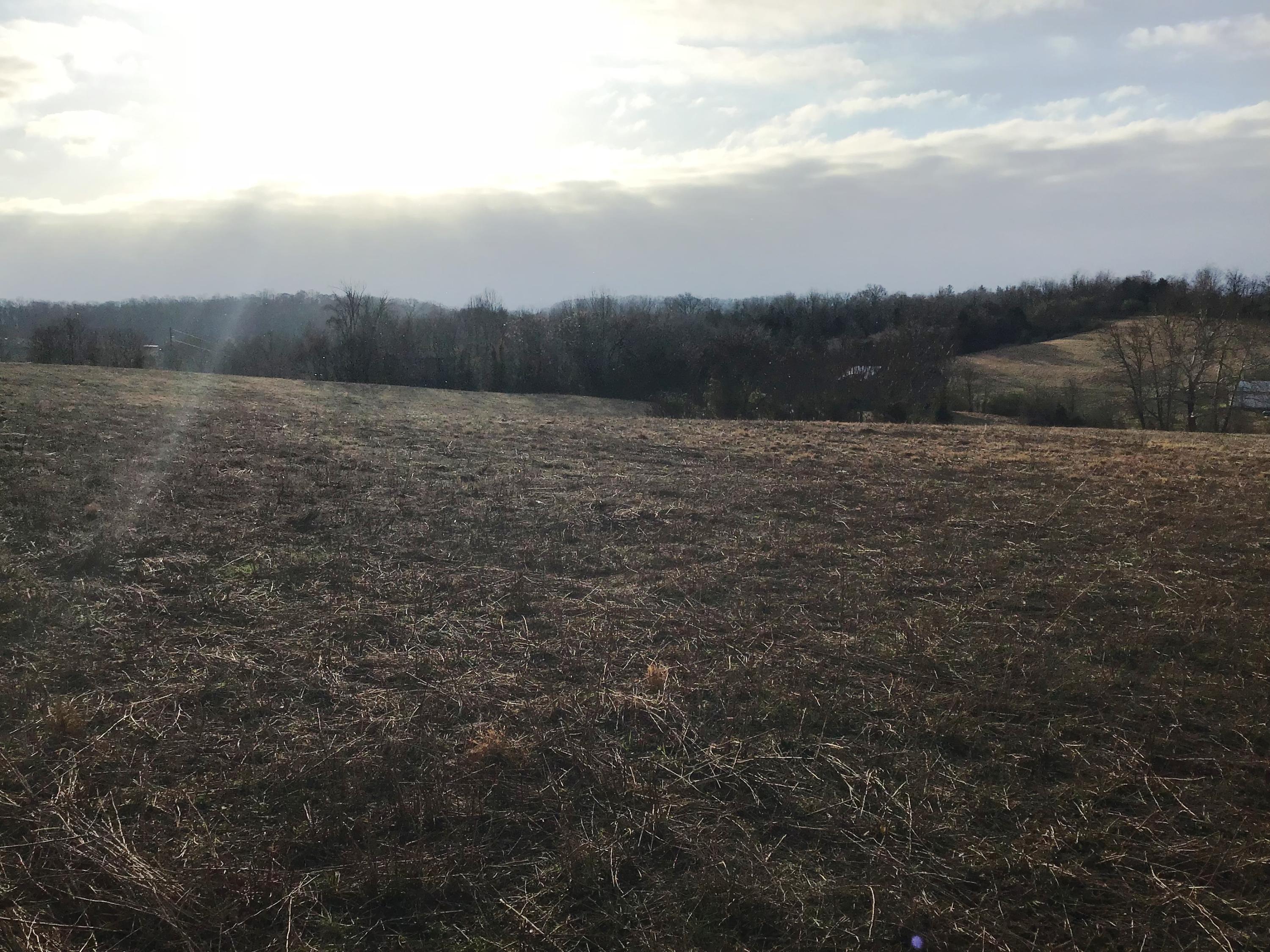 Lot 14 Milburnton Road, Unit 14 Limestone, TN 37681 - Photo 14 of 16 Milburnton