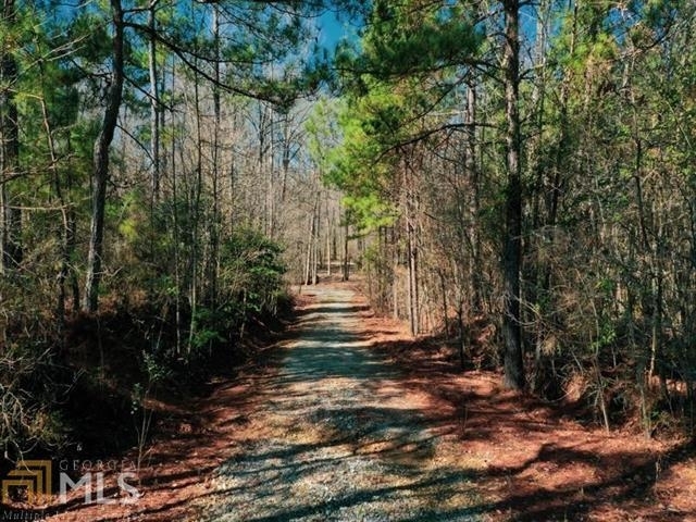 271 Parker Road Griffin, GA 30223 - Photo 1 of 1 a view of yard