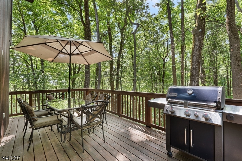 6 Farm Road Chester, NJ 07930 - Photo 21 of 41
