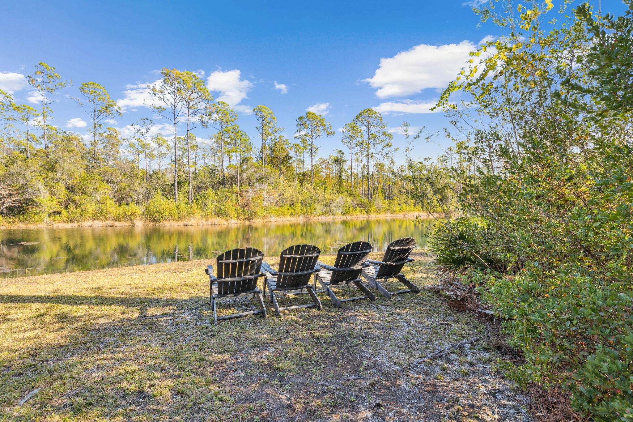 318 East Royal Fern Way Santa Rosa Beach, FL 32459 - Photo 35 of 43 pond views
