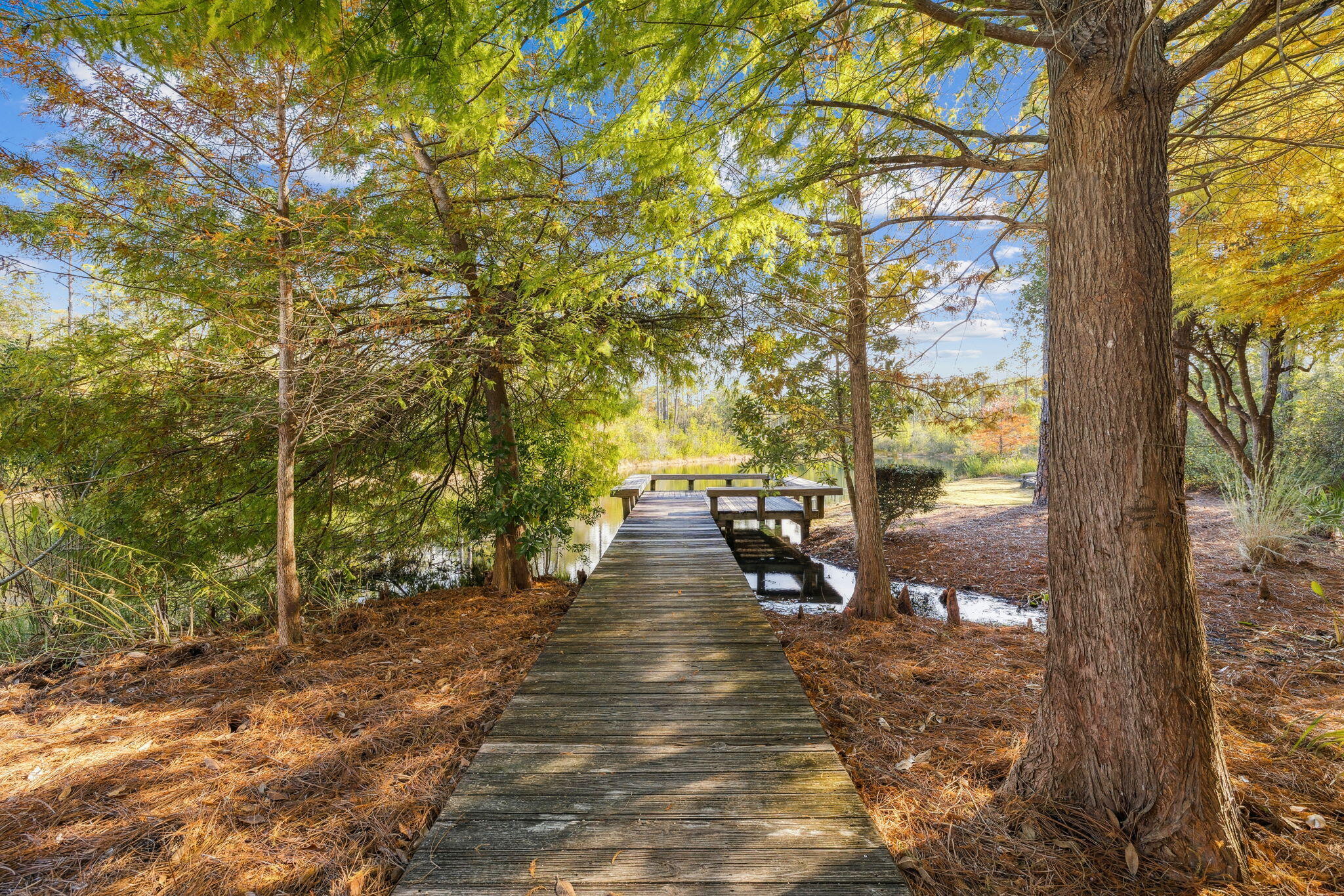 318 East Royal Fern Way Santa Rosa Beach, FL 32459 - Photo 39 of 43 a view of swimming pool with seating area