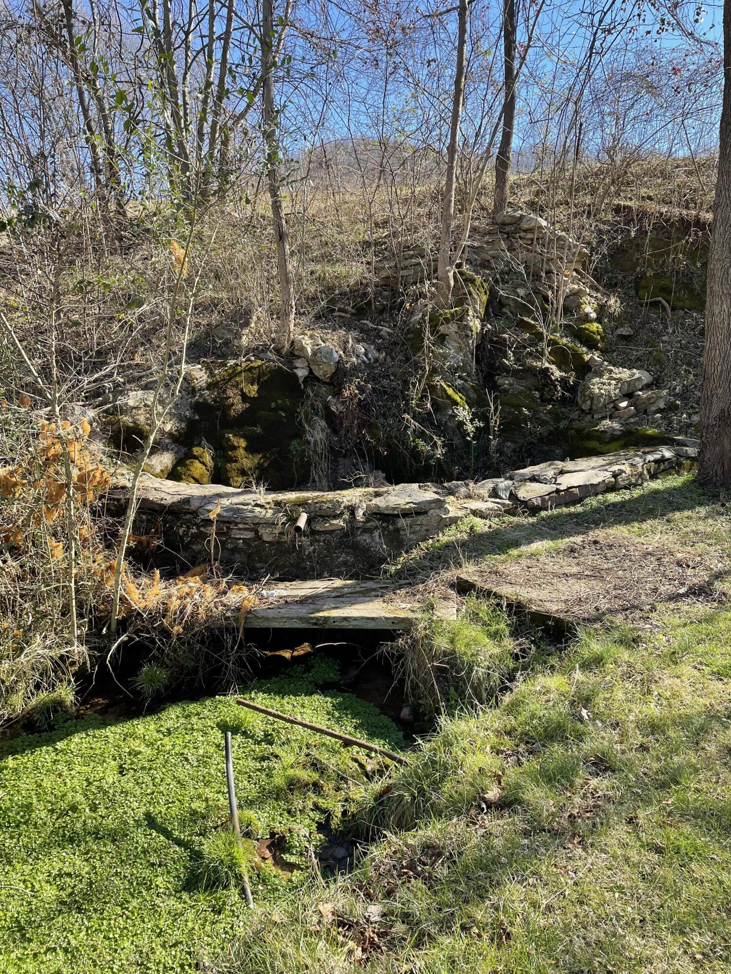 3555 Houston Valley Road Greeneville, TN 37743 - Photo 33 of 35 spring