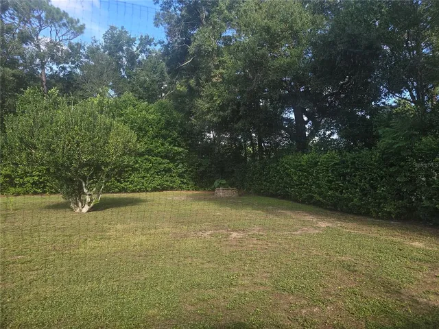 a view of a yard with a tree