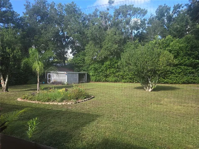 a view of a back yard