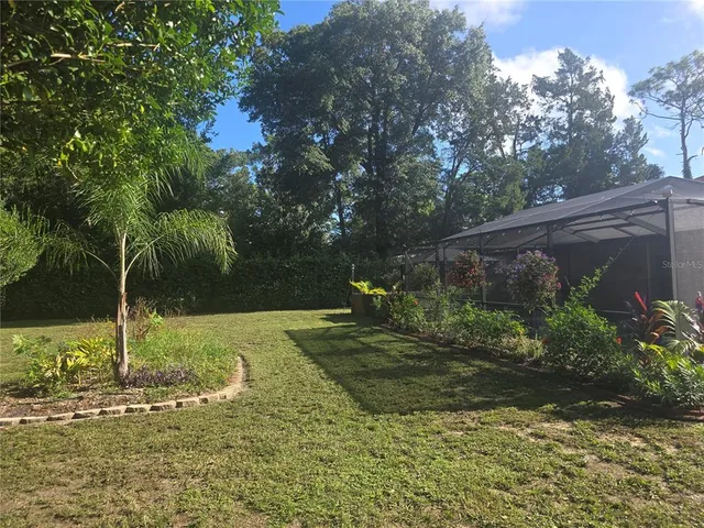 a view of a yard with a tree