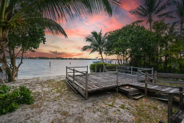 a view of a backyard with plants and palm tree