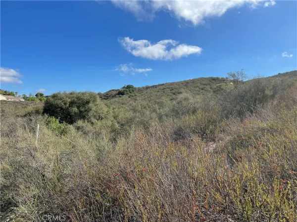 a view of a dry yard
