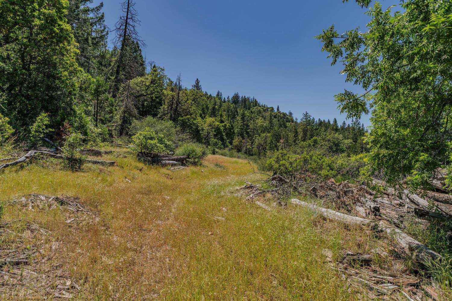 0 Schaefer Ranch Road Pioneer, CA 95666 - Photo 19 of 72