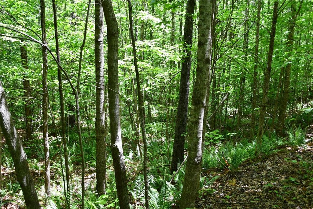 1 Wilson Road Temple, GA 30179 - Photo 11 of 88