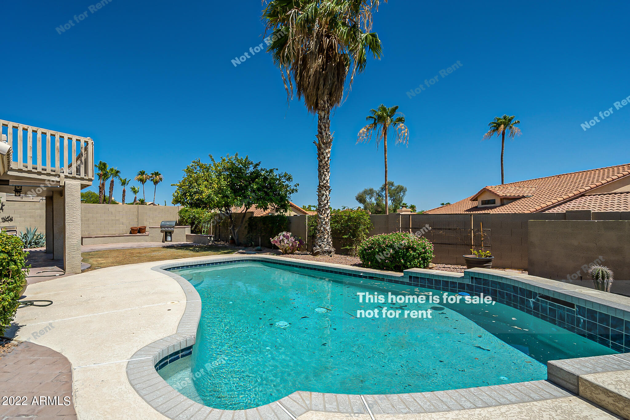 2433 East Rockledge Road Phoenix, AZ 85048 - Photo 35 of 36 listing_32