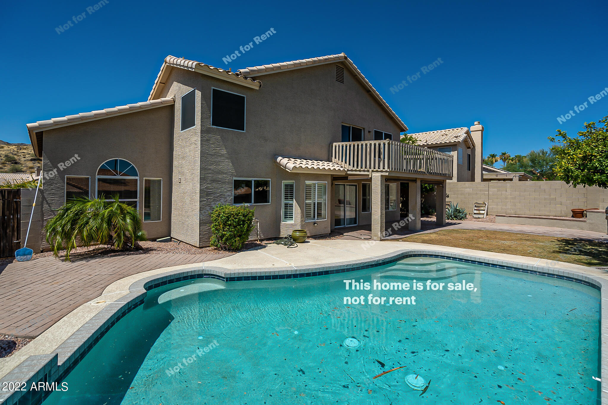 2433 East Rockledge Road Phoenix, AZ 85048 - Photo 7 of 36 listing_4