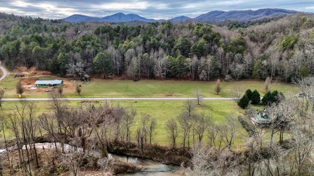 Lot 51 Prosperity Road Warne, NC 28909 - Photo 11 of 16 a view of a water with a yard