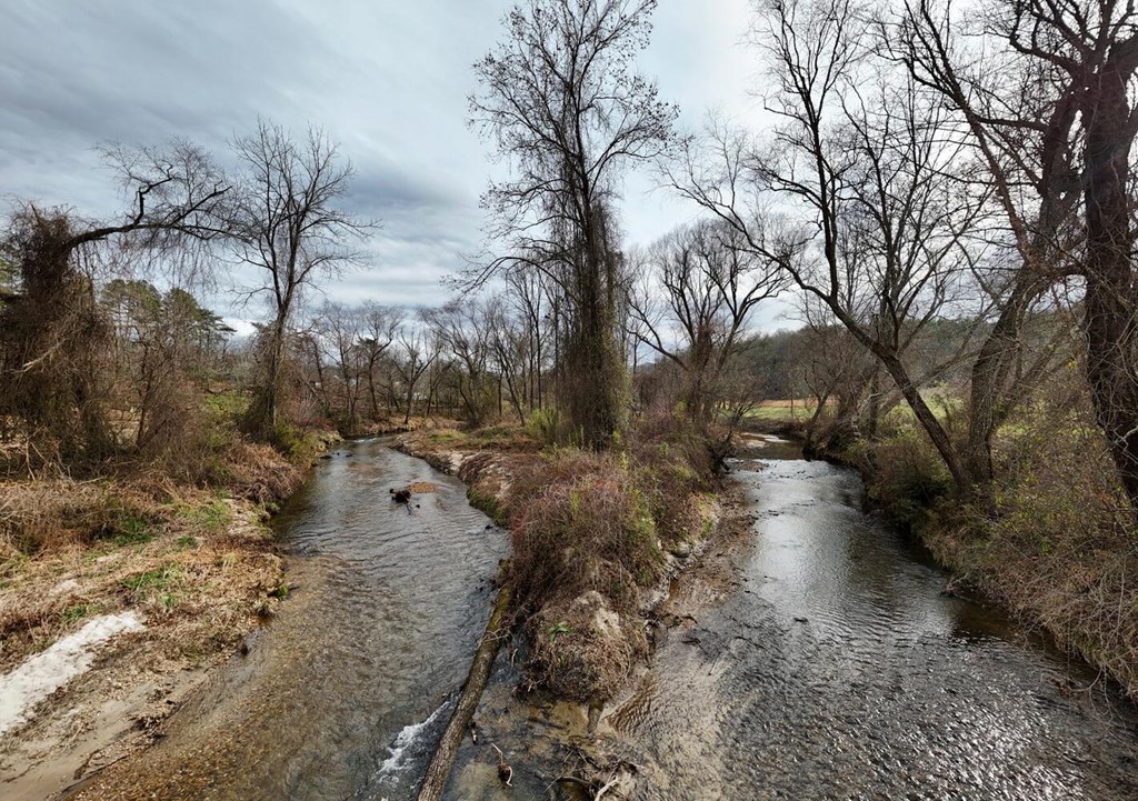 Lot 51 Prosperity Road Warne, NC 28909 - Photo 12 of 16 a view of a yard with a house