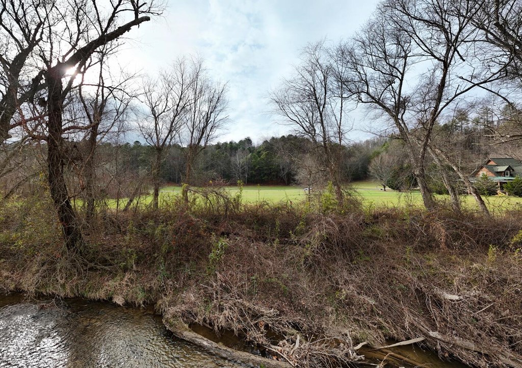 Lot 51 Prosperity Road Warne, NC 28909 - Photo 13 of 16 a view of a lake with green space