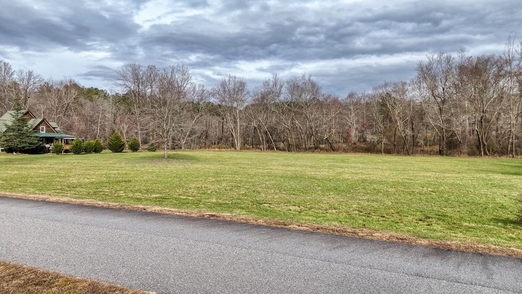 Lot 51 Prosperity Road Warne, NC 28909 - Photo 14 of 16 a view of a field with an ocean