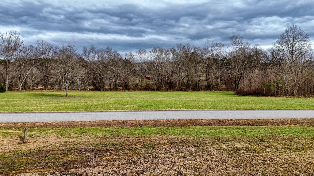 Lot 51 Prosperity Road Warne, NC 28909 - Photo 15 of 16 a view of a golf course