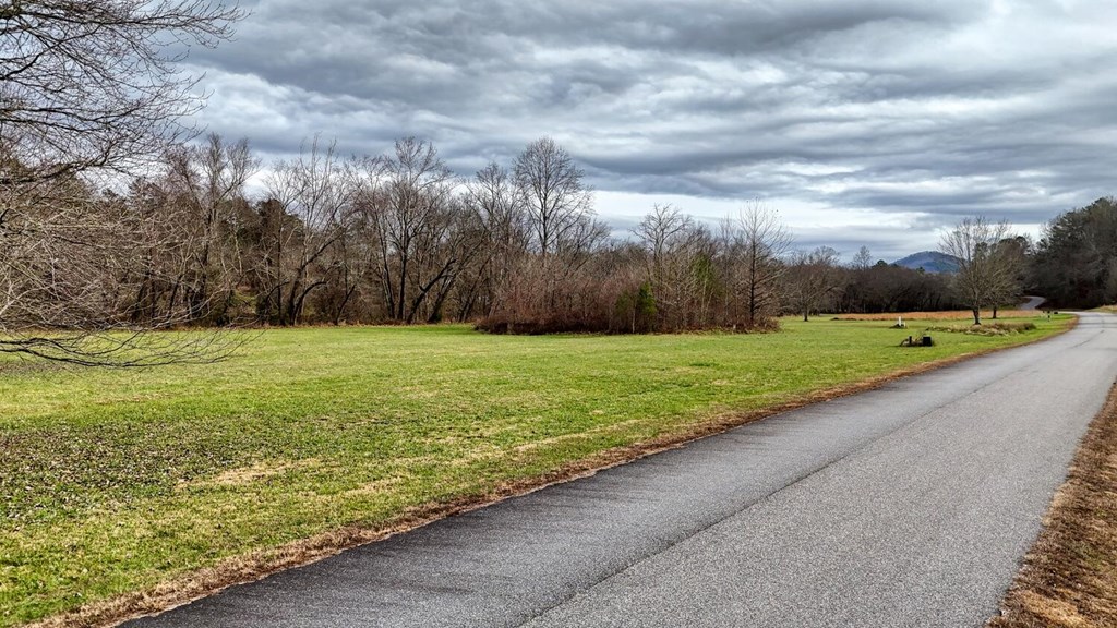 Lot 51 Prosperity Road Warne, NC 28909 - Photo 16 of 16 a view of a field with an outdoor space