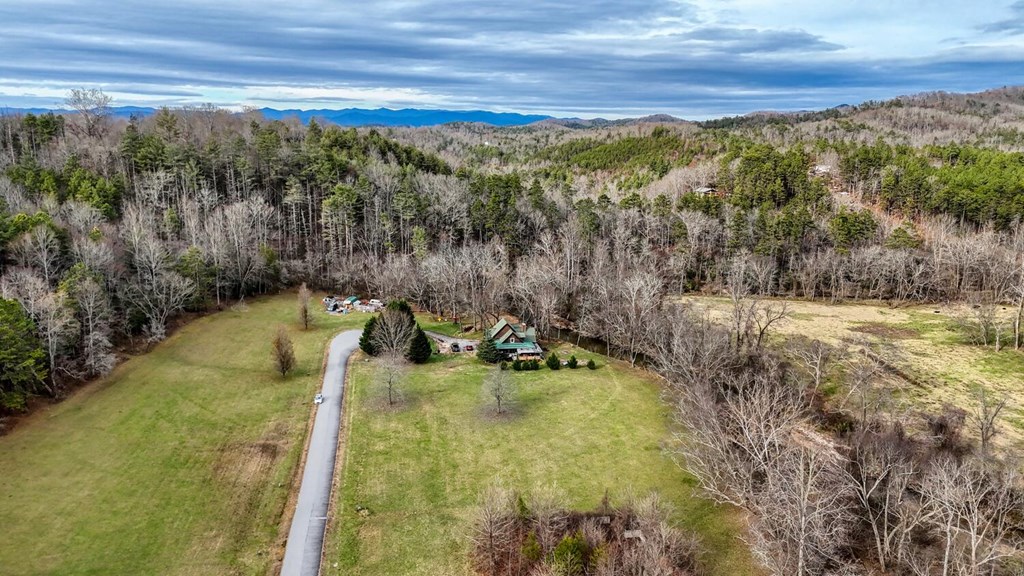 Lot 51 Prosperity Road Warne, NC 28909 - Photo 3 of 16 a view of a lake with a yard