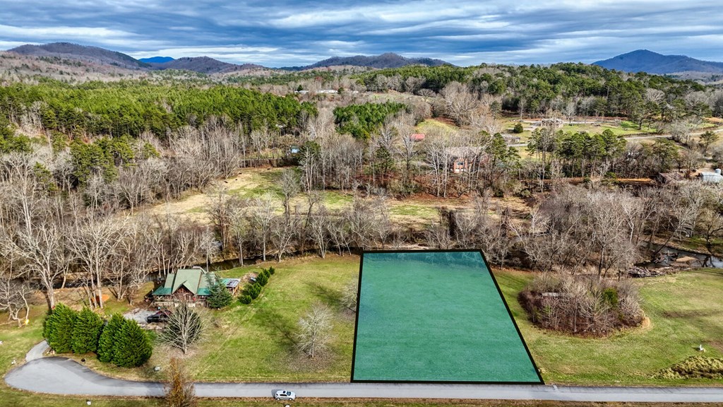 Lot 51 Prosperity Road Warne, NC 28909 - Photo 5 of 16 a view of a city