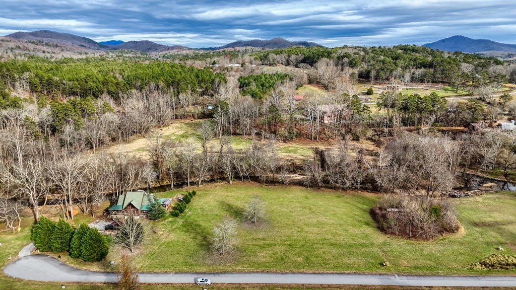 Lot 51 Prosperity Road Warne, NC 28909 - Photo 6 of 16 a view of lake with mountain