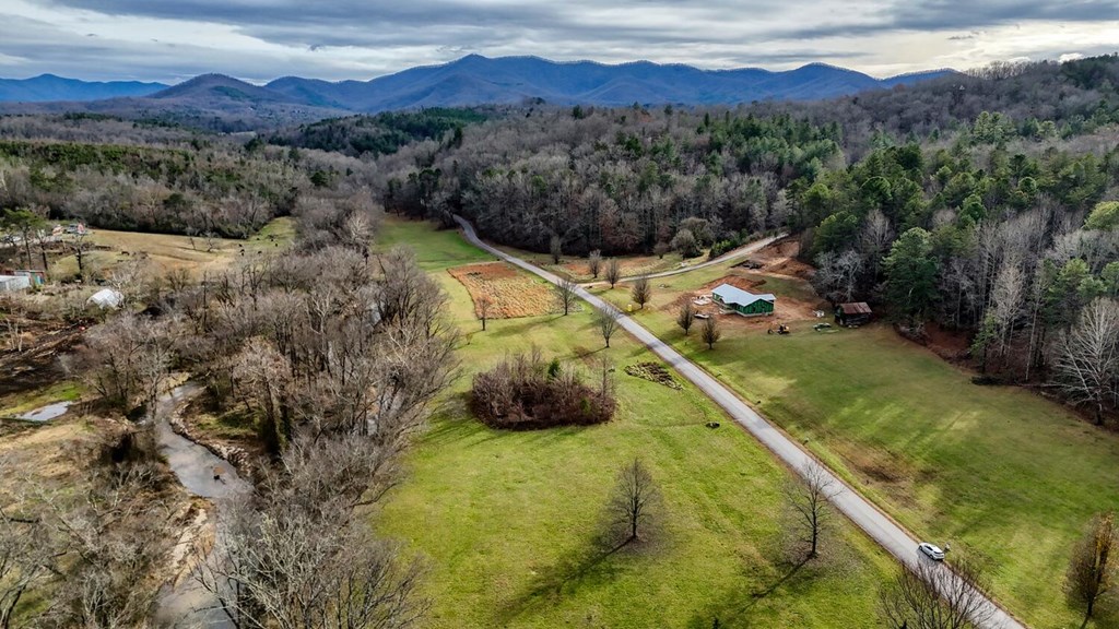Lot 51 Prosperity Road Warne, NC 28909 - Photo 8 of 16 a view of a lush green hillside and a mountain