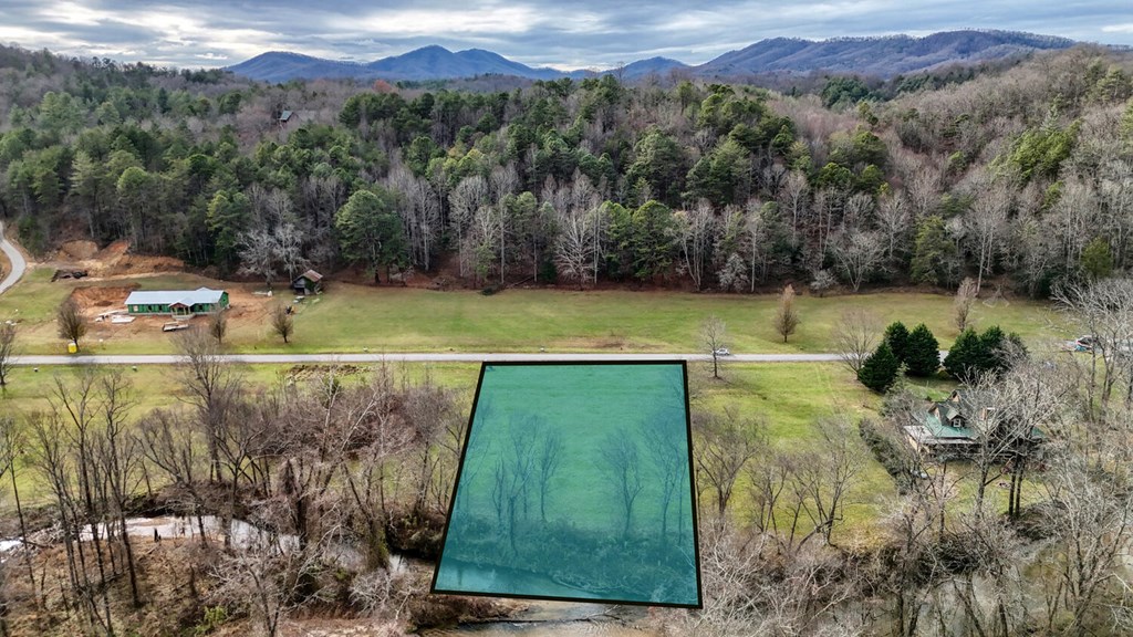 Lot 51 Prosperity Road Warne, NC 28909 - Photo 10 of 16 a view of a backyard