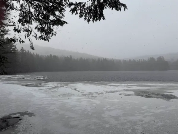 $1,450,000 | Forrester Road, Jamaica, VT 05343
