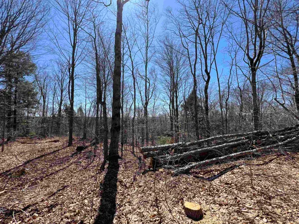 $1,450,000 | Forrester Road, Jamaica, VT 05343