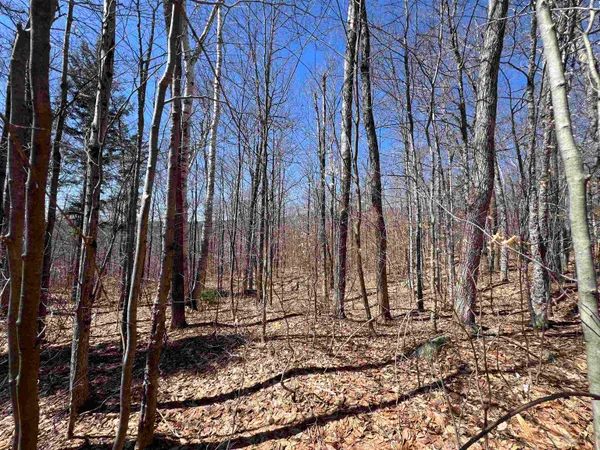 $1,450,000 | Forrester Road, Jamaica, VT 05343