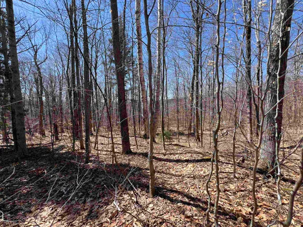 $1,450,000 | Forrester Road, Jamaica, VT 05343