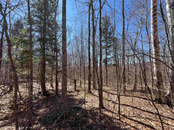 $1,450,000 | Forrester Road, Jamaica, VT 05343
