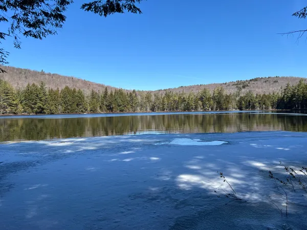 $1,450,000 | Forrester Road, Jamaica, VT 05343