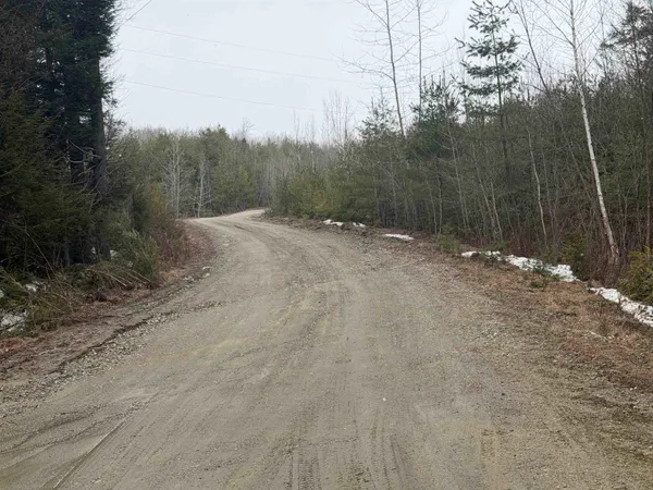 $1,450,000 | Forrester Road, Jamaica, VT 05343