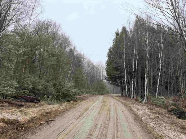 $1,450,000 | Forrester Road, Jamaica, VT 05343