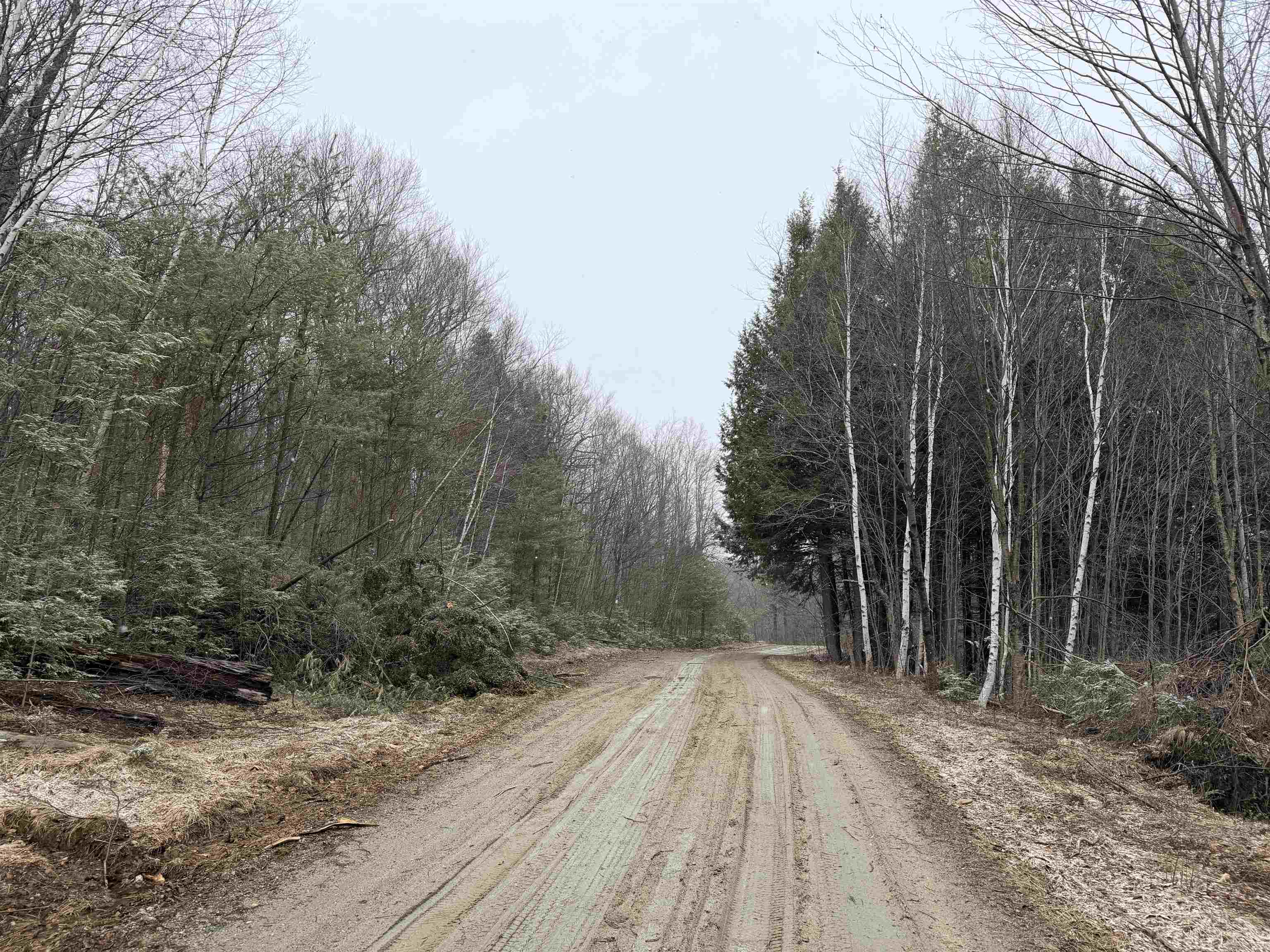 Forrester Road Jamaica, VT 05343 - Photo 25 of 33