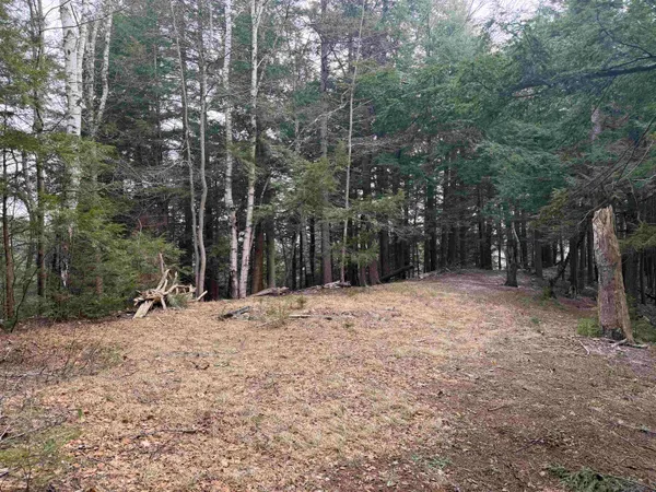 $1,450,000 | Forrester Road, Jamaica, VT 05343