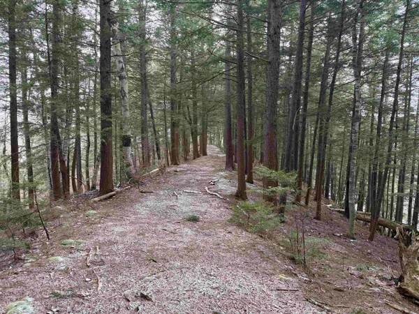 $1,450,000 | Forrester Road, Jamaica, VT 05343