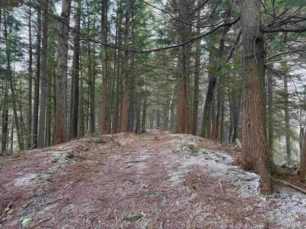 $1,450,000 | Forrester Road, Jamaica, VT 05343