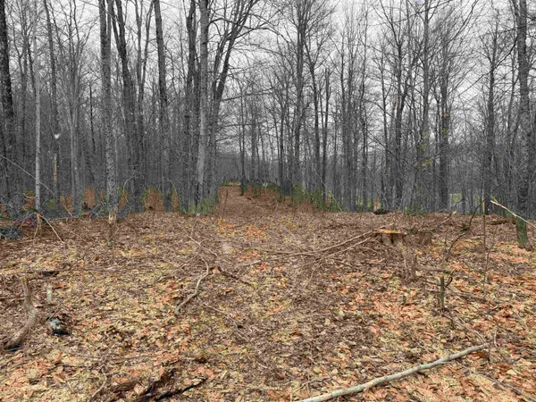 $1,450,000 | Forrester Road, Jamaica, VT 05343