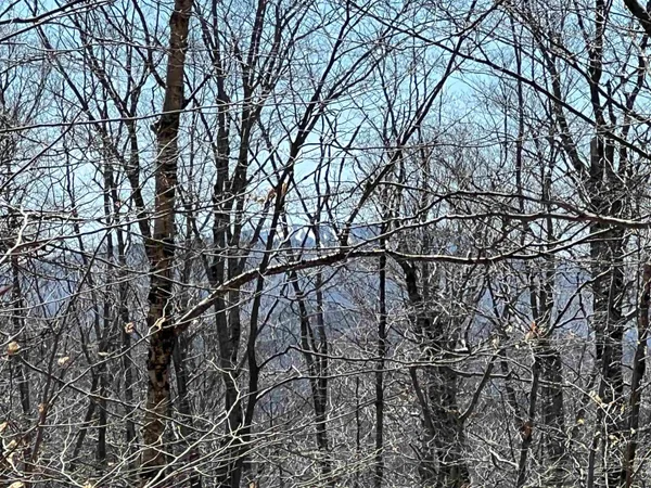 $1,450,000 | Forrester Road, Jamaica, VT 05343