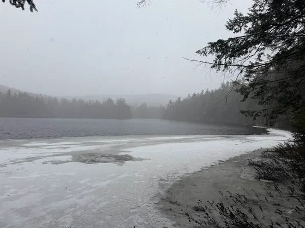 $1,450,000 | Forrester Road, Jamaica, VT 05343